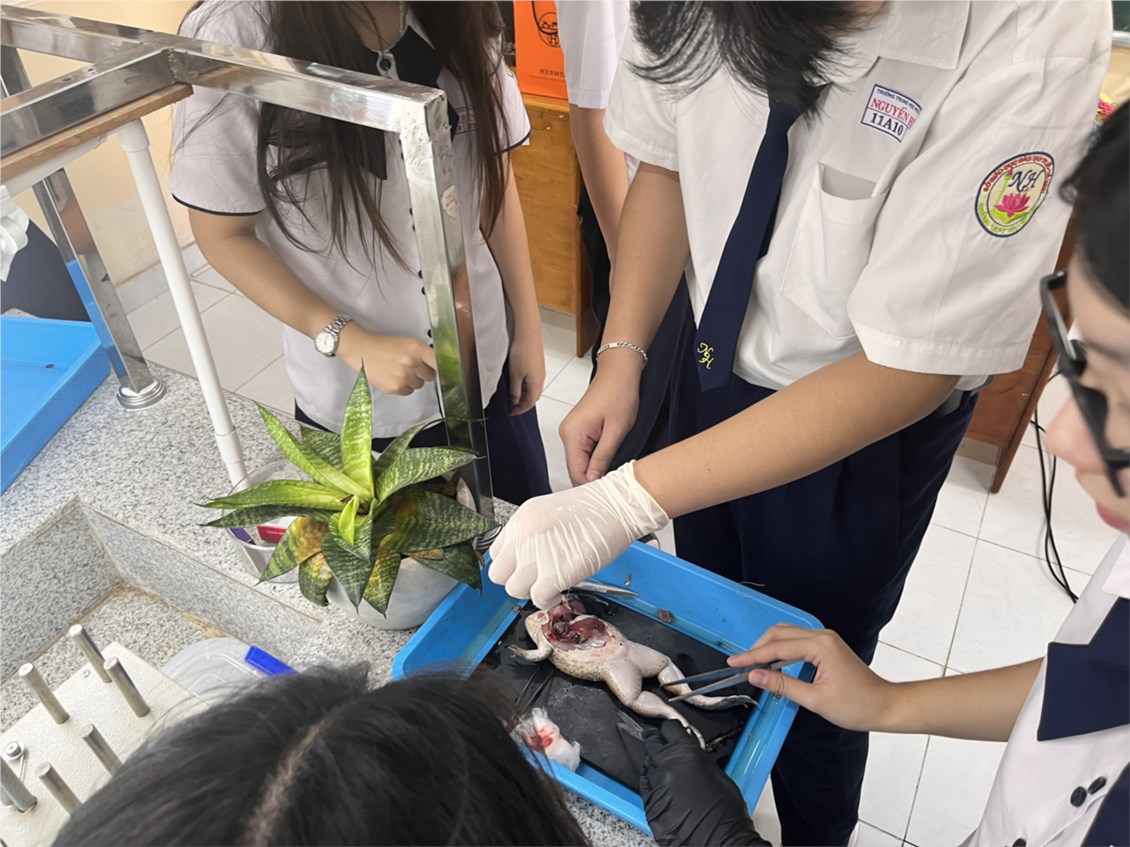 Ảnh đại diện